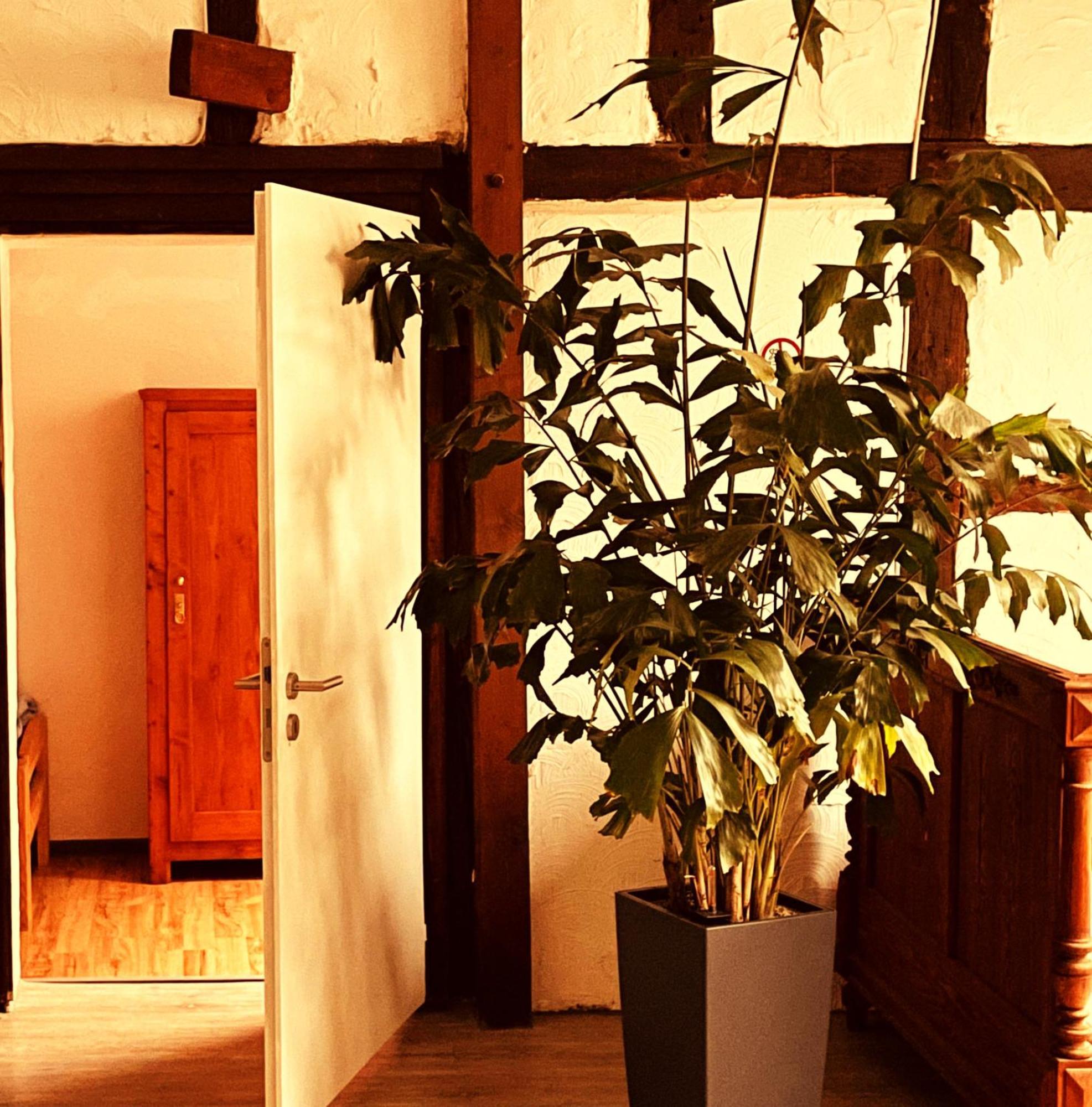 Cottage Huehnerstall ซึลพิค ภายนอก รูปภาพ